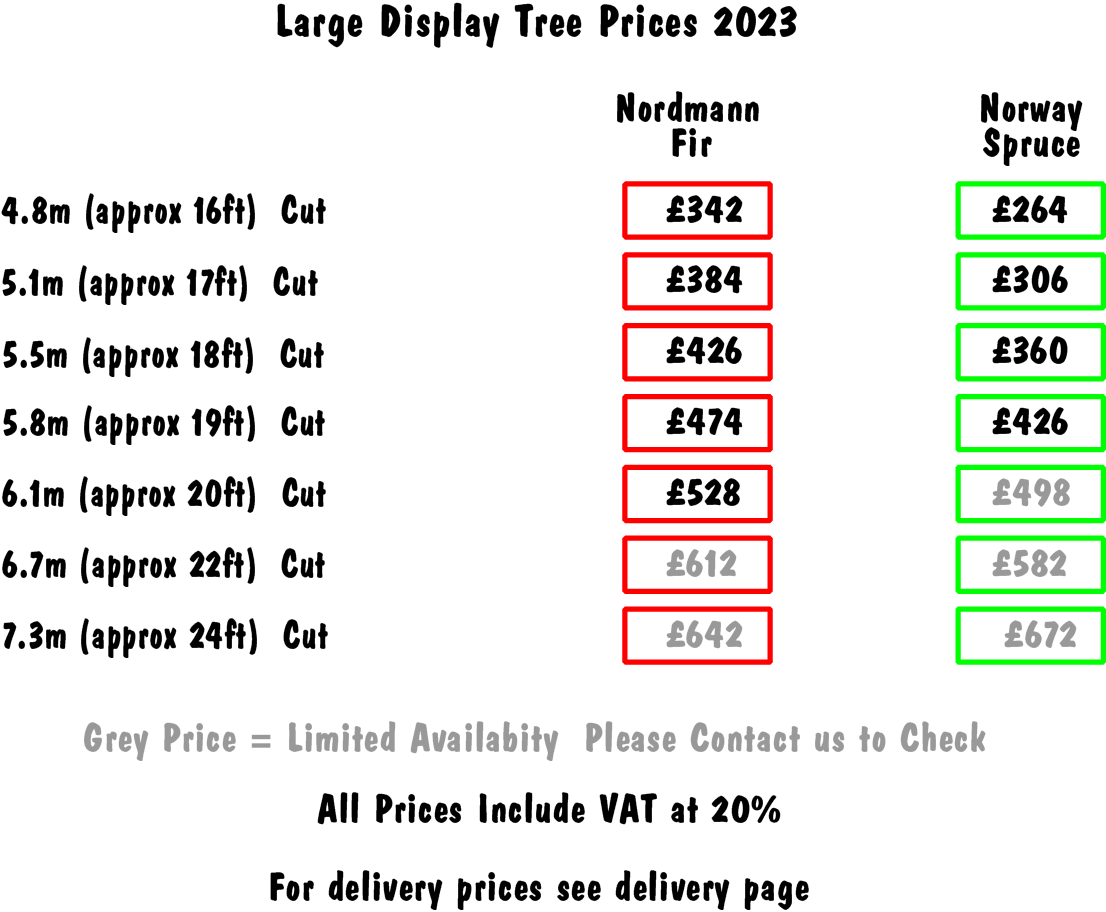 Price List of Large Display Christmas Trees For 2023
